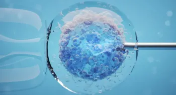 TÜP BEBEK TEDAVİSİ NEDİR?